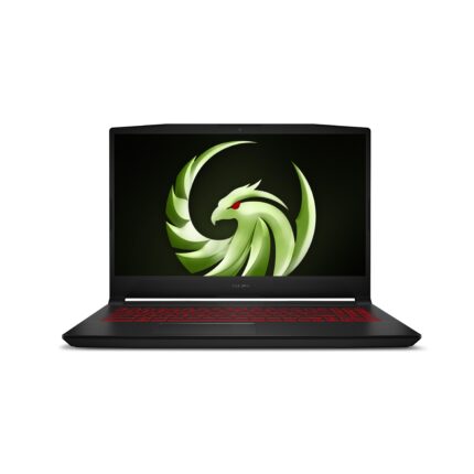 MSI BRAVO 15 B5DD-208XTR [R5-5600H] 8GB 512GB SSD 15.6" 4GB RX5500M FDos