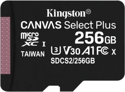 Kingston SDCS2 256GB Micro SD Class 10 Hafıza Kartı  (SDCS2/256GB)