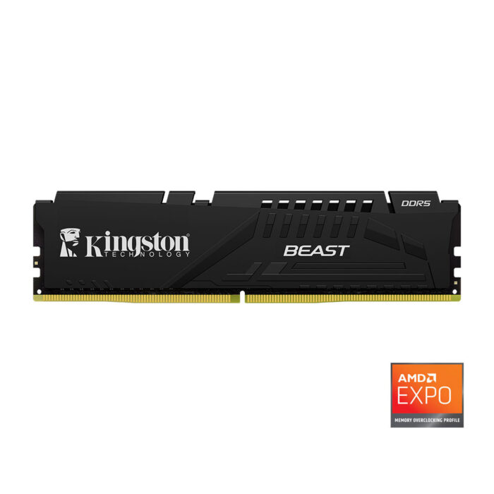 Kingston Beast 16GB DDR5 5600MHz CL36 PC Bellek (KF556C36BBE/16TR)