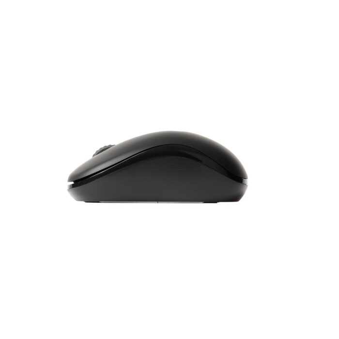 Rapoo M10Plus 1000DPI Wireless Kablosuz Optik Siyah Mouse