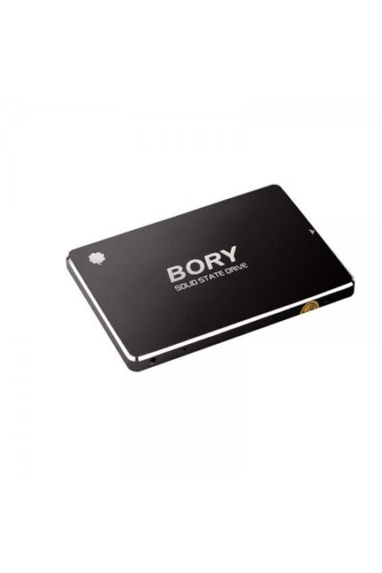 Bory R500 SSD 1TB 2.5" SATA3 550-510MB/s (3 Yıl Garantili) (R500-C1T)